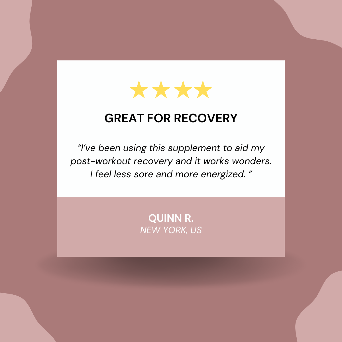 Meal Blend Shake (Chocolate)